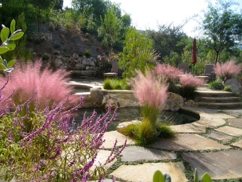 Comment utiliser les pavés pour rendre votre jardin luxuriant, naturaliste et respectueux de l'eau ?
        